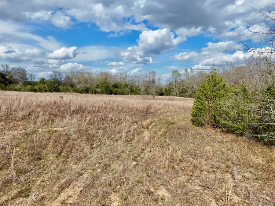 Everly Place Homesite