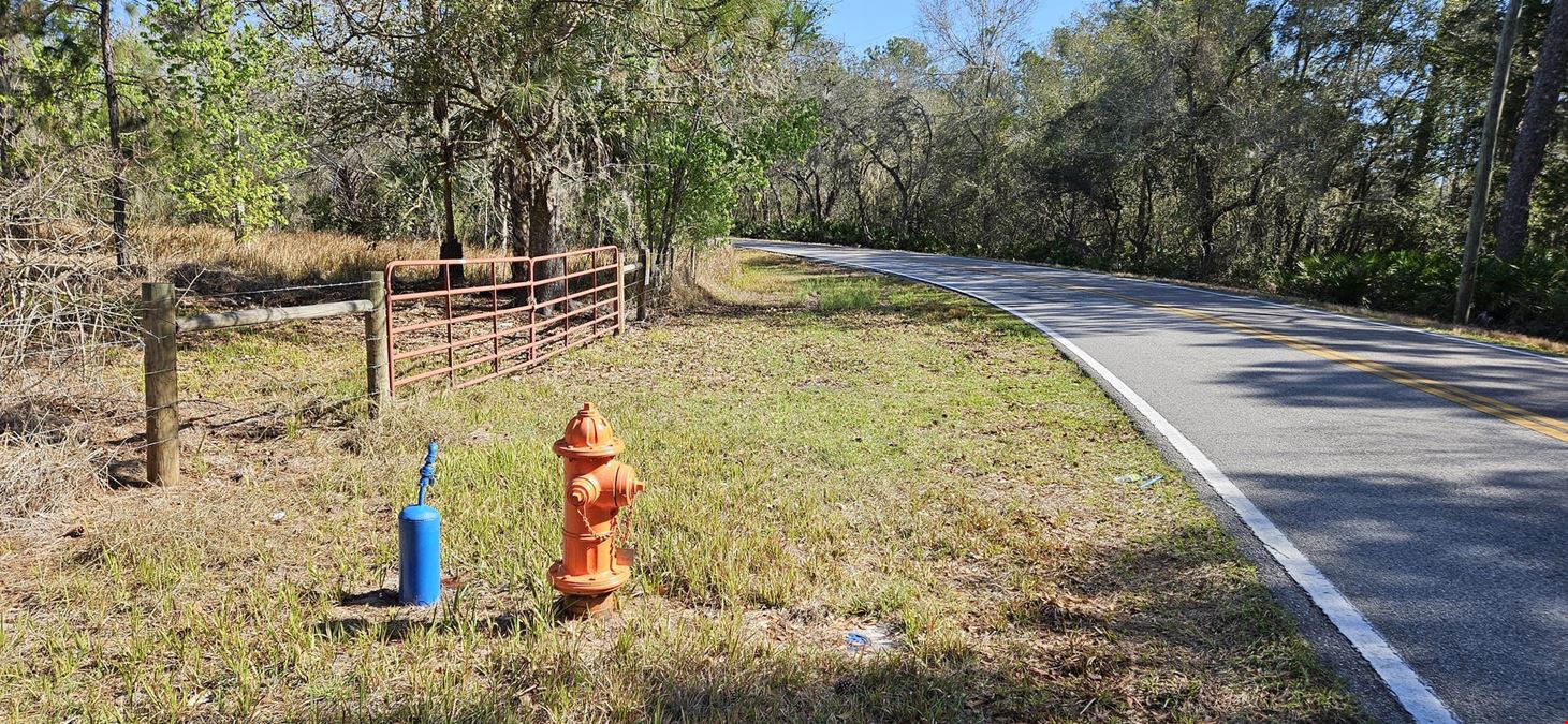 47± Scenic Wooded Acres with Trails, Wildlife, and Lake Access