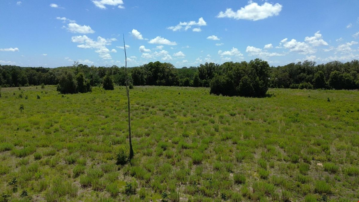 25.5 +/- Acres in Horse Country