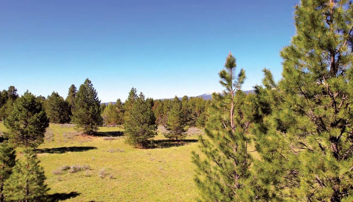 Big Creek Meadows Ranch