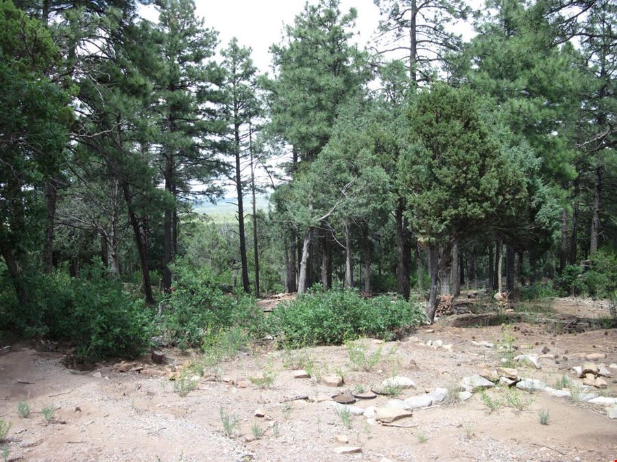38 Mockingbird Dr