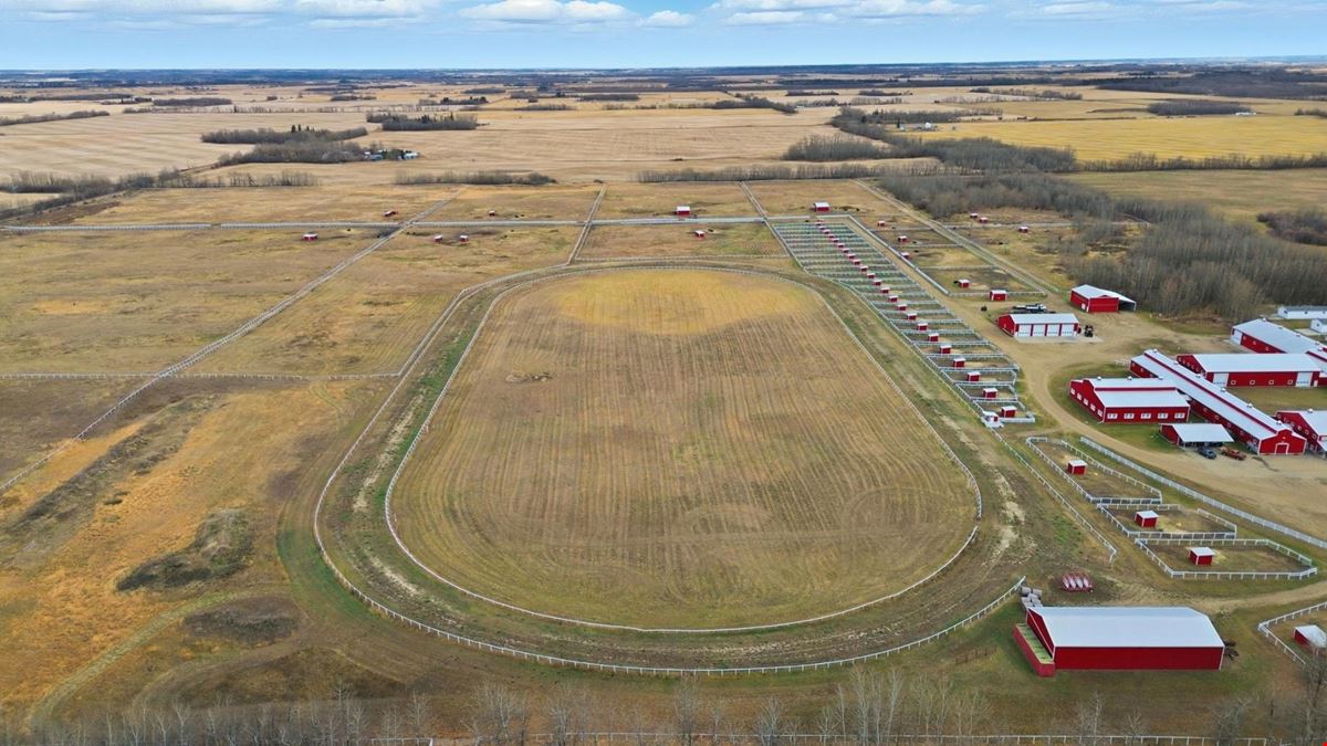 World-Class Equestrian in Central Alberta (Canada)
