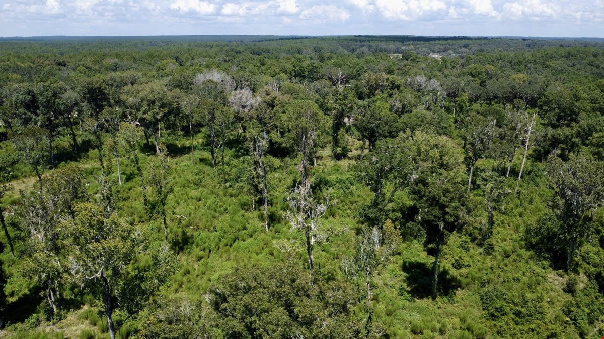 39 +/- Acres in Horse Country