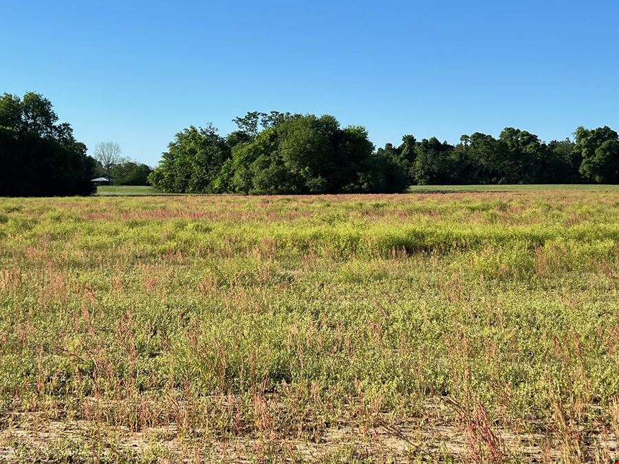 21.97 Acres of Versatile Land Near Florida & Georgia - Ideal for Homes, Recreation, and Investment