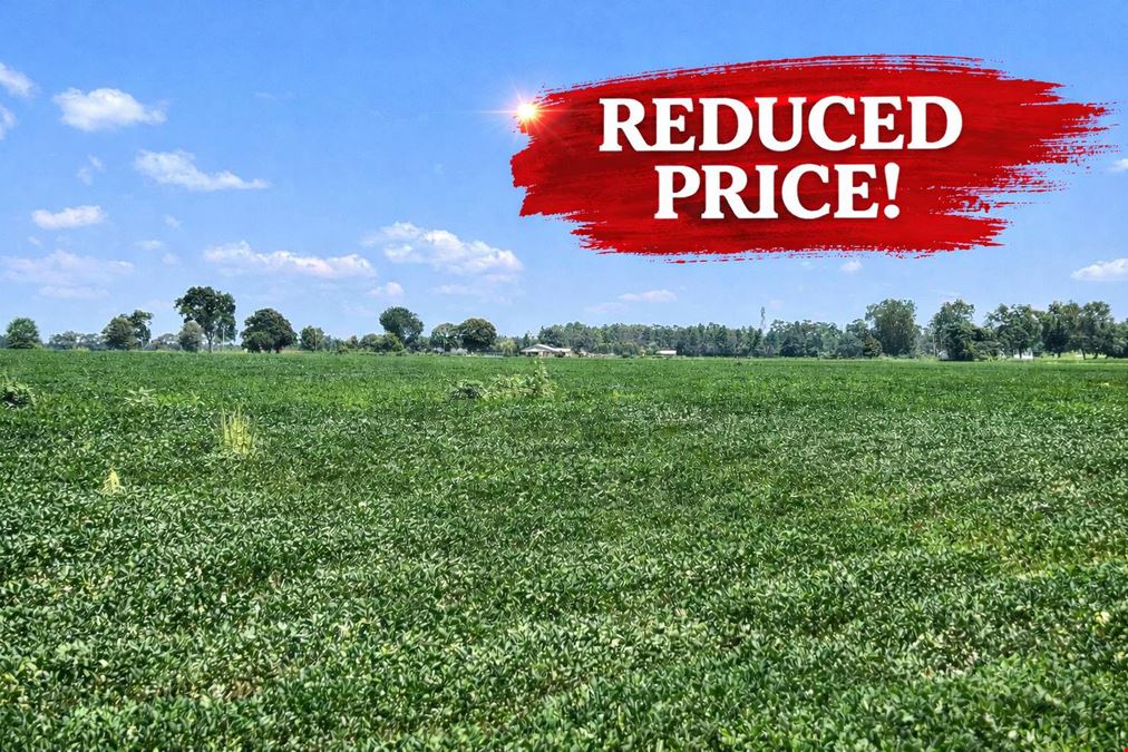226 +/- Acre Investment Opportunity in Brewton, AL