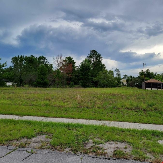 Clear, Level Lot for sale in Deltona