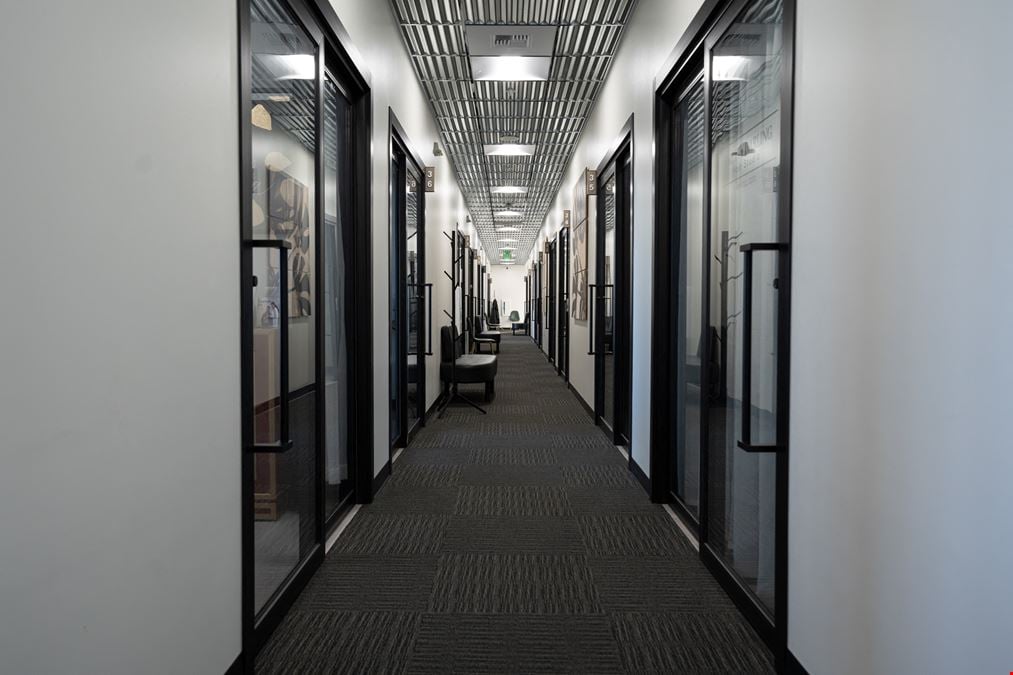 Individual Professional Suites
