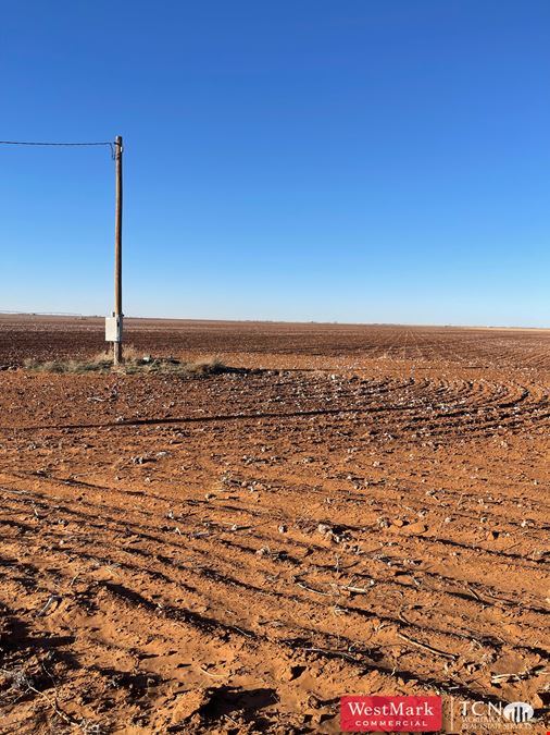 640 Acres North Lynn Co., TX 79373