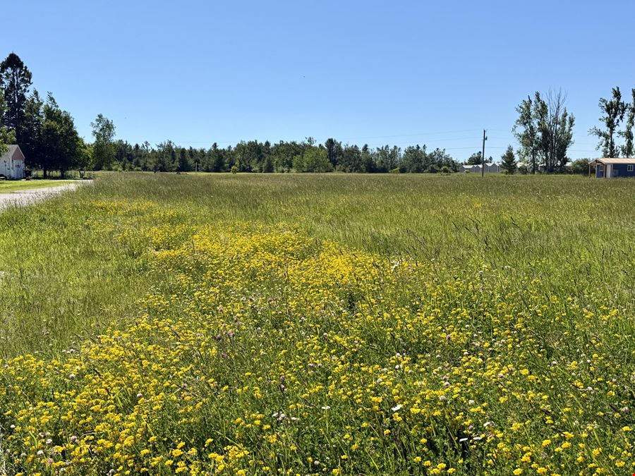 10900 Townline Rd