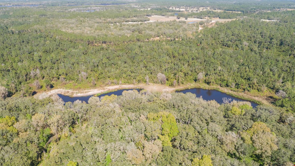 Shaw Lake Rd