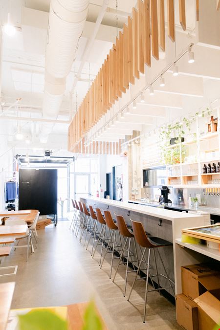 Downtown Ann Arbor Winery / Brewery FF&E Asset for Sale