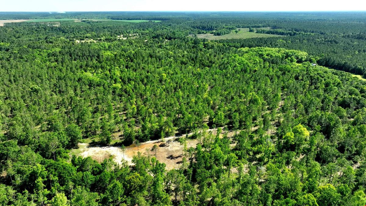 Raccoon Creek Hunting & Timber