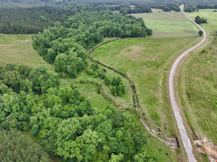Searcy Branch Timber and Rec