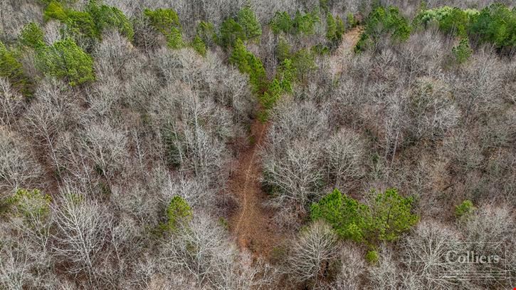 ±105-Acre Recreational Tract with Practical Homestead Sites