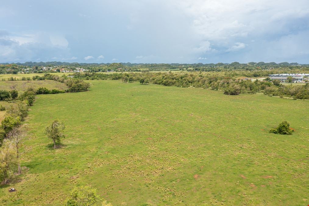 Moca Prime Industrial Land - For Sale