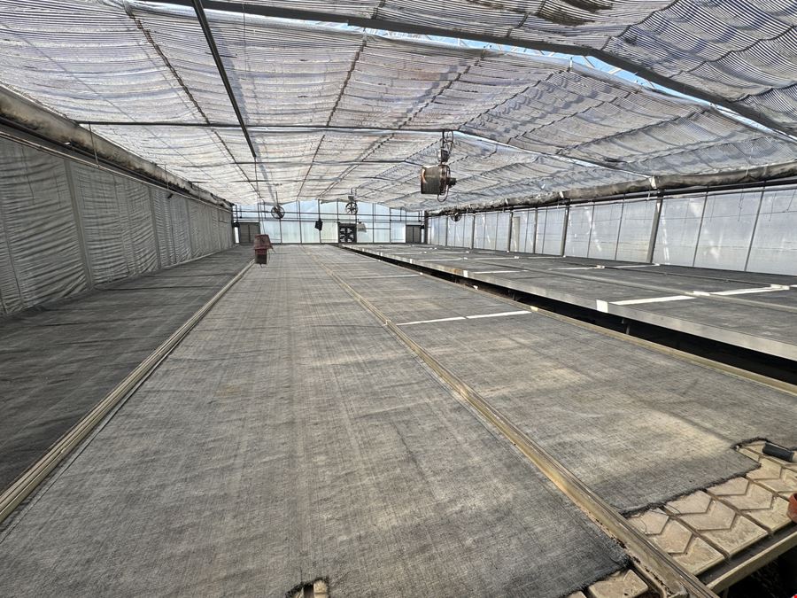 Turn Key Greenhouse Operation