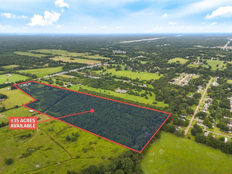 ±35 Acre Residential Development Opportunity in Central Zachary