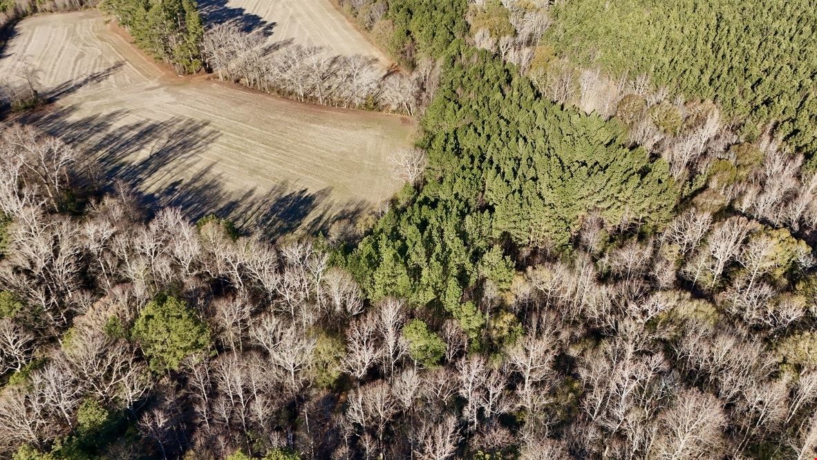 Johnston County 50 ± Acres on Hwy 301