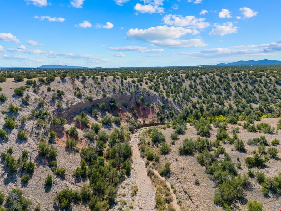 7 Rancho de Shama