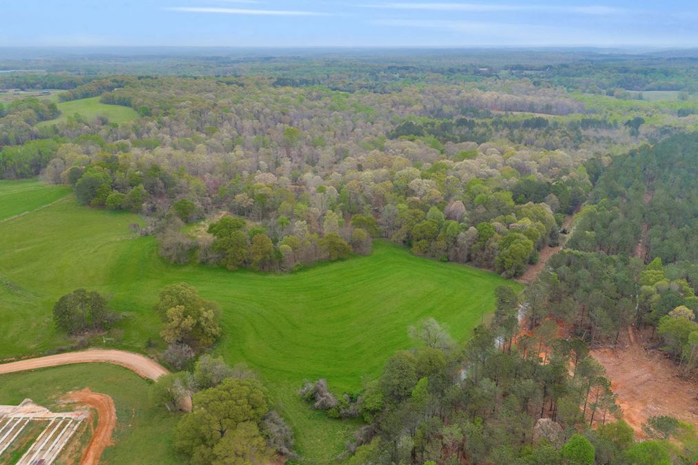 24+/- ACRES LAND FOR SALE MADISON COUNTY