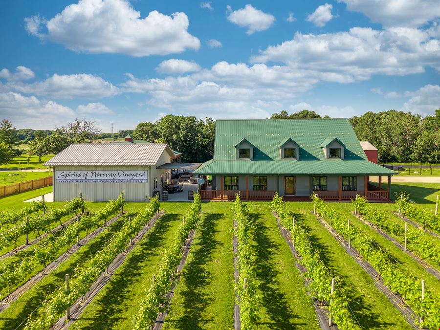 Spirits of Norway Vineyard