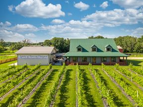Spirits of Norway Vineyard