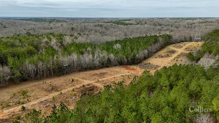 ±105-Acre Recreational Tract with Practical Homestead Sites