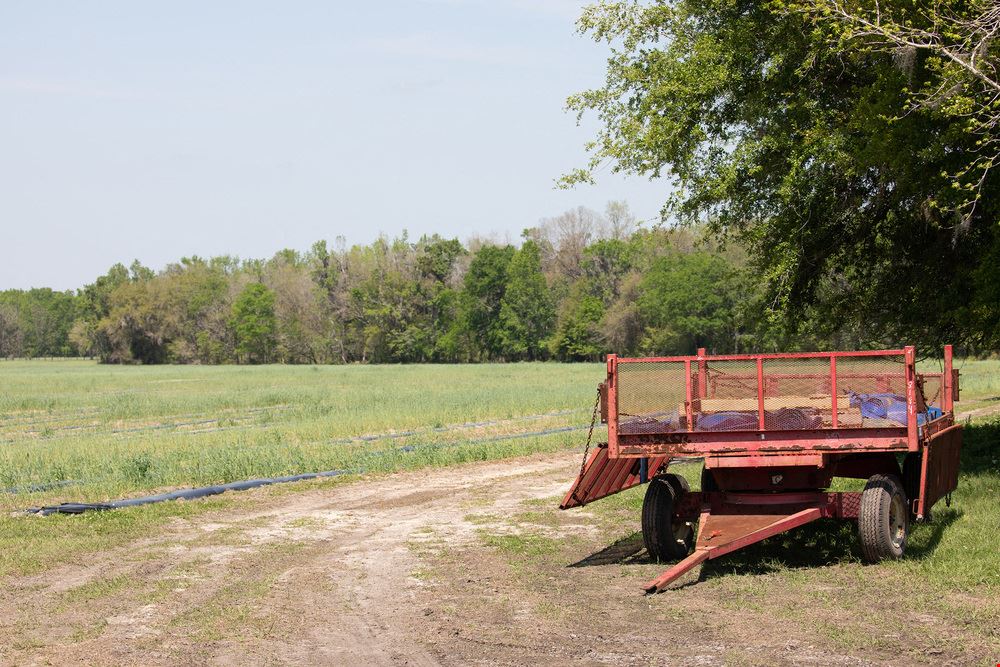 Alachua FarmLife