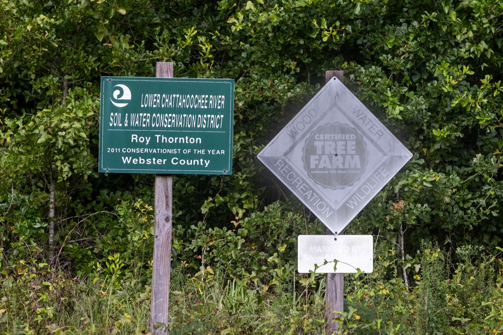 Long Branch West Hunting and Timber