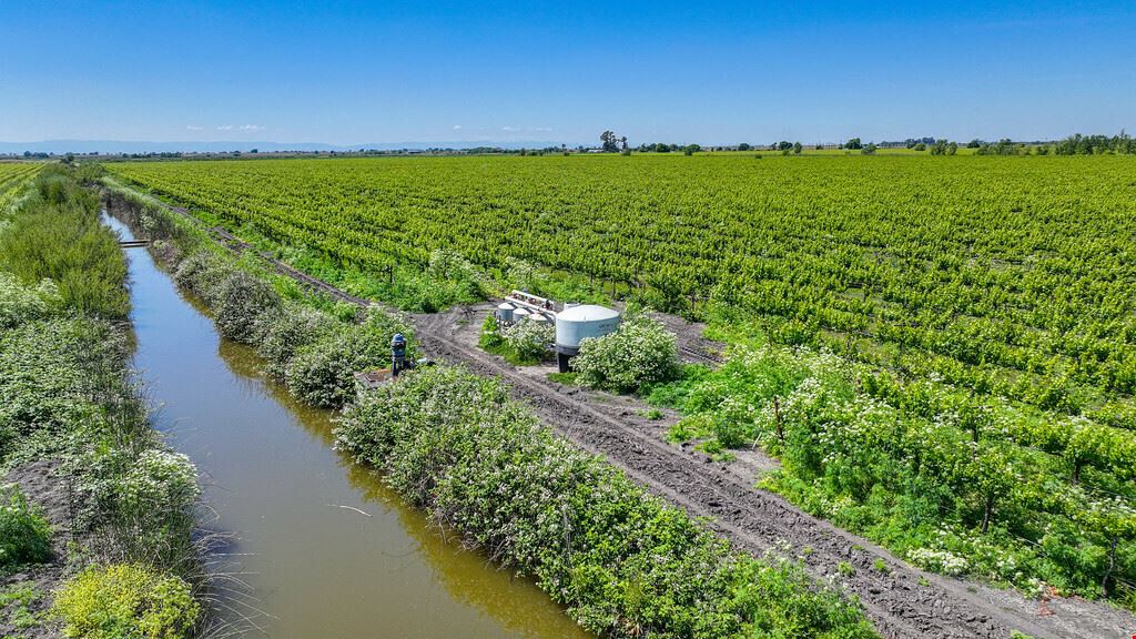 Clarksburg Vineyard Land
