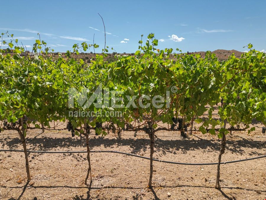 Winery For Sale In Utah!!