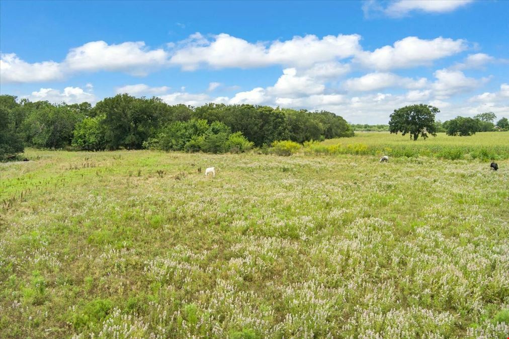 6.02 Acres on Seven Mile Lane | Riesel, Texas