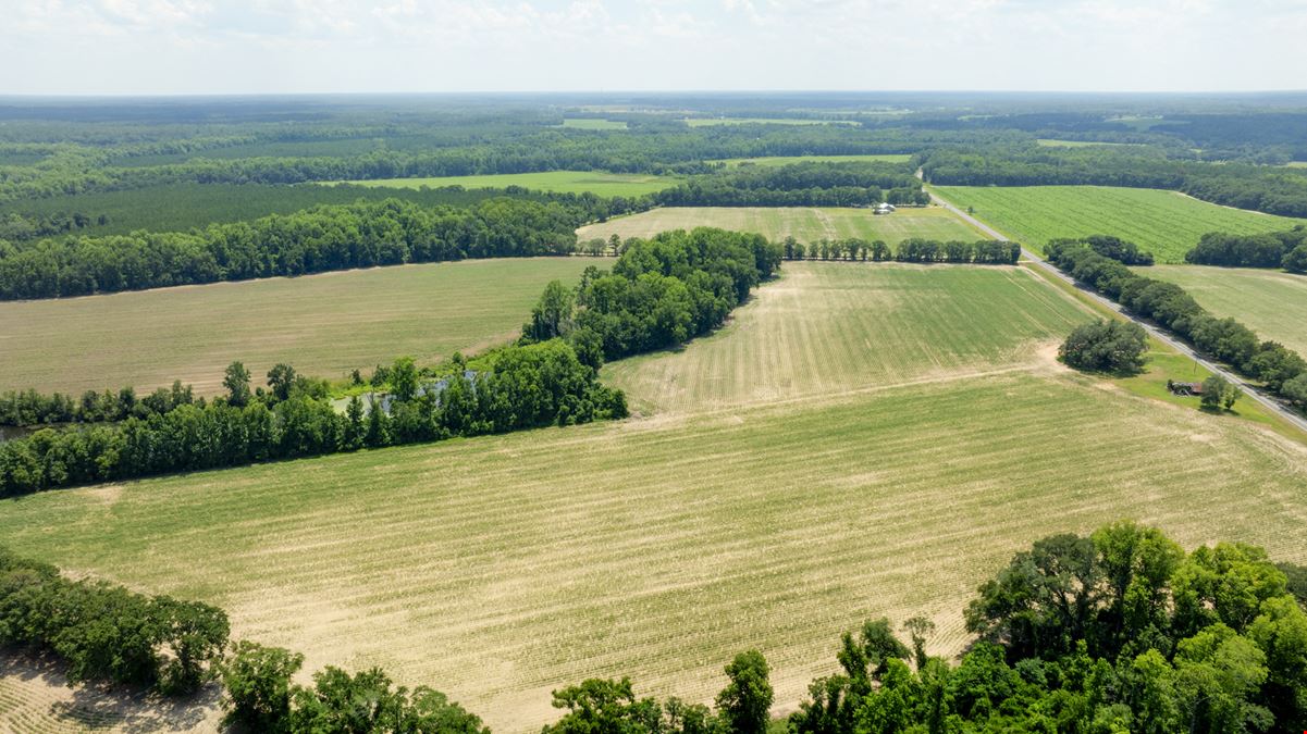 Sunbury Farm