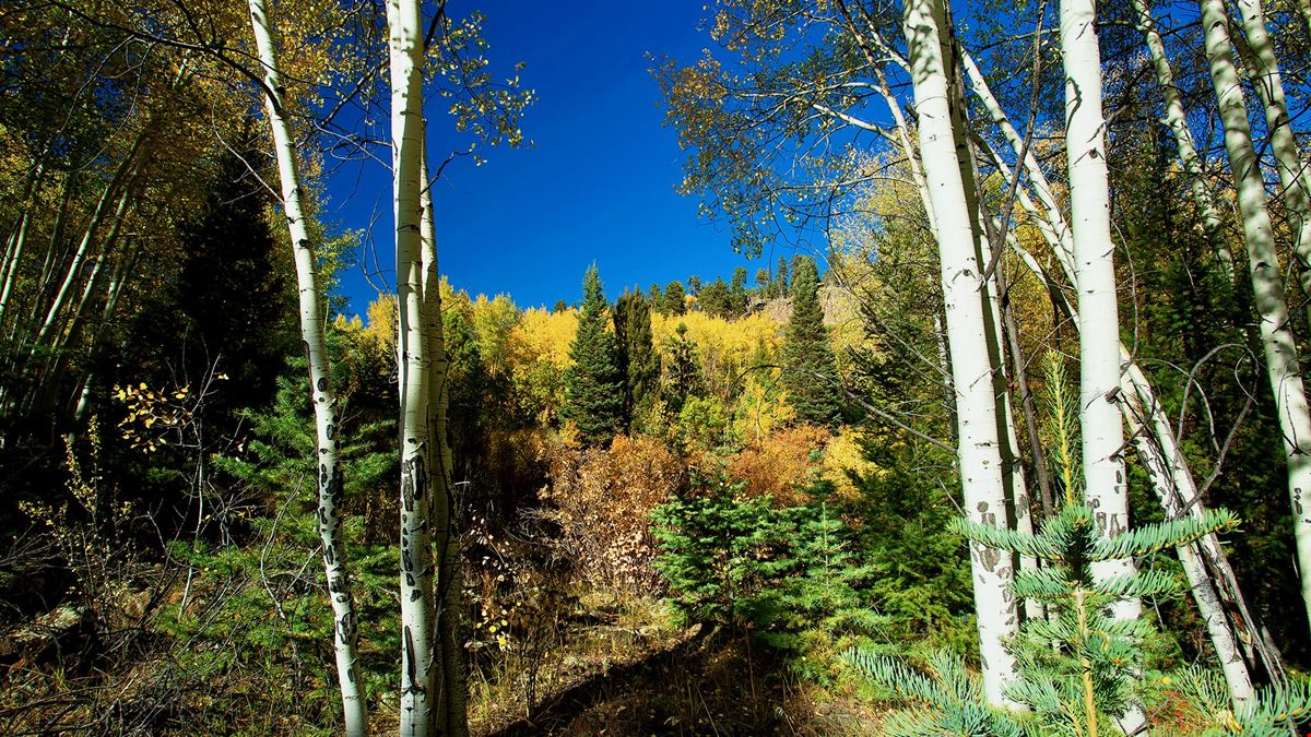The Ranch at Angel Fire