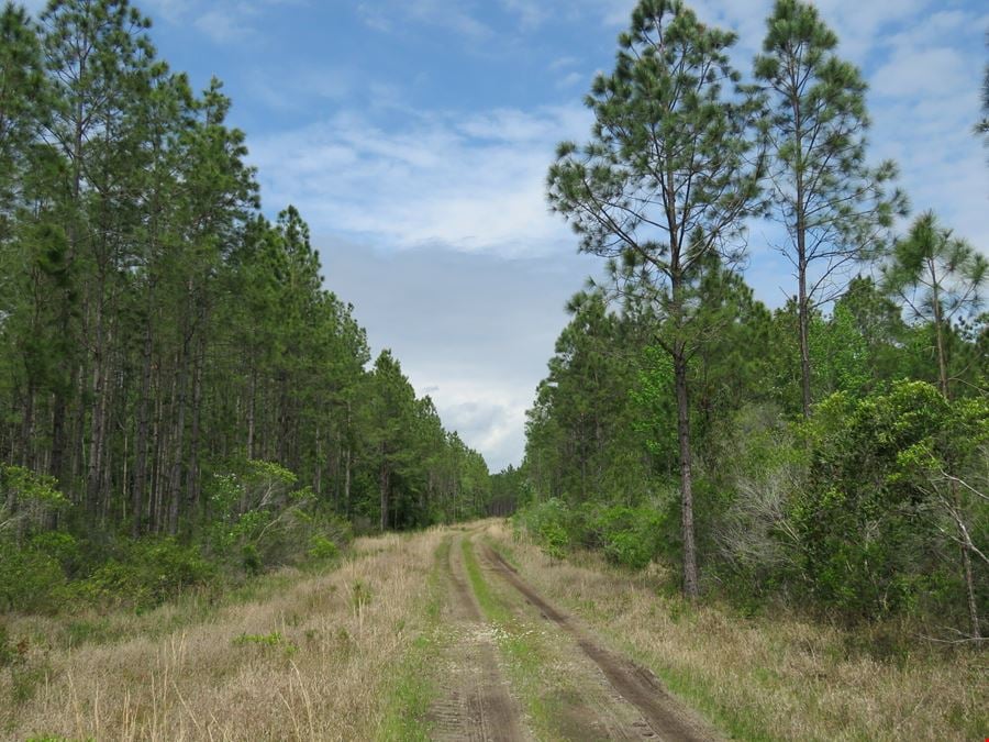 O-I Timberland Tract