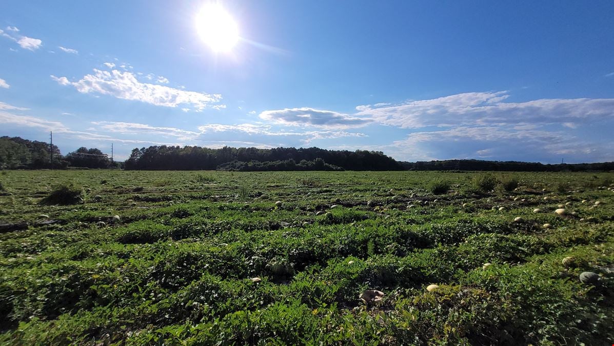9.51 Acre Parcel off American Legion Road