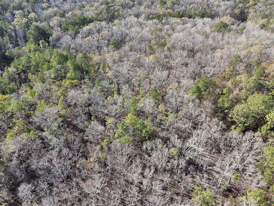 Noble Tract