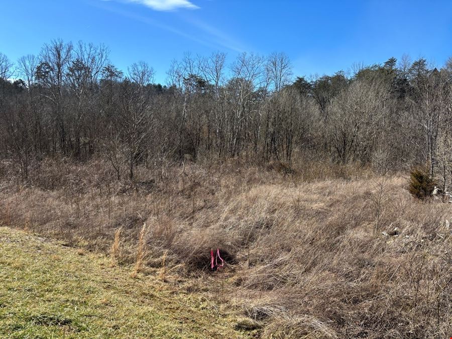 Commercially Zoned Tract