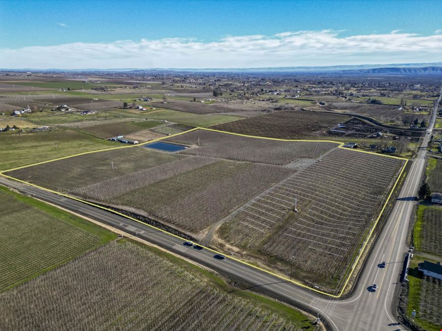 Occidental Orchards