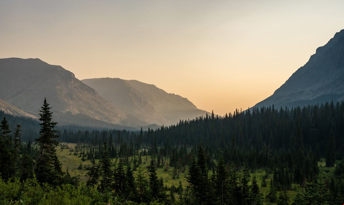 A Classic Montana Forty: 40 Wooded Acres near Kalispell