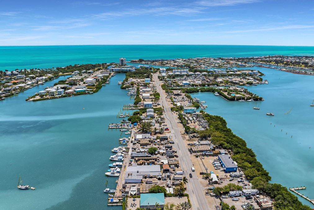 38 Coco Plum