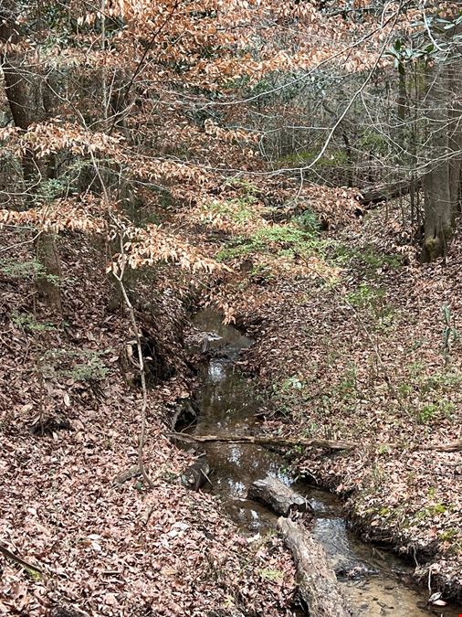 89 Acres in Early County, GA : Riverfront Property with Cabin and Outstanding Hunting Land