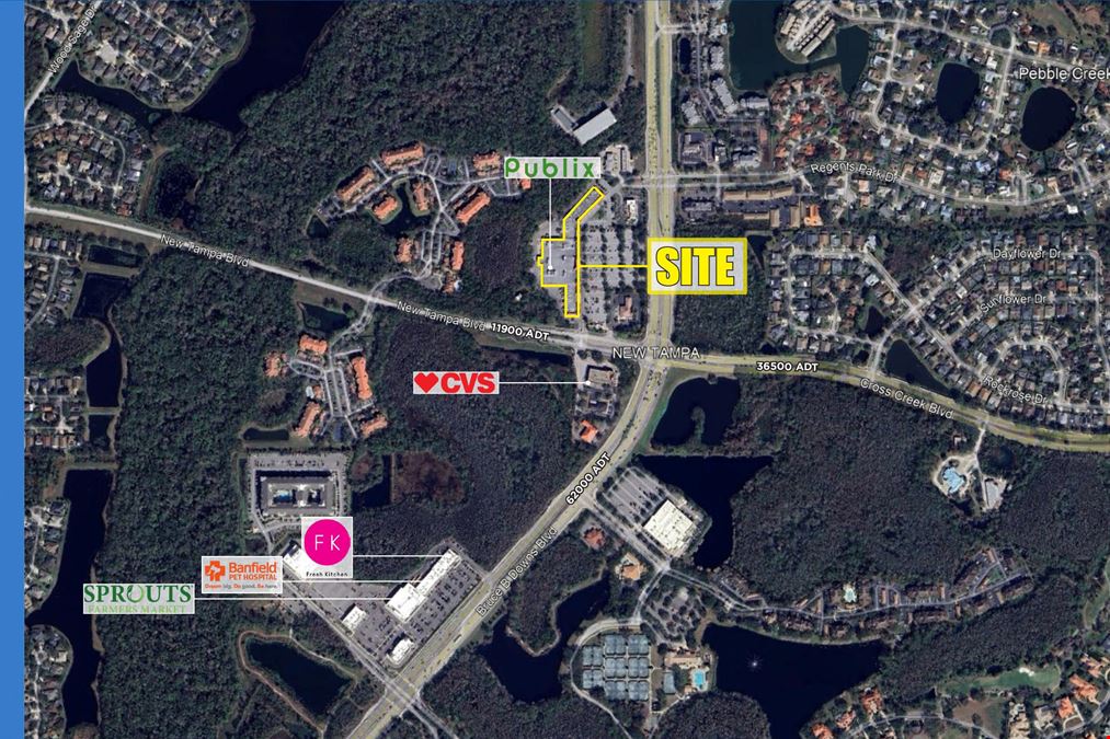New Tampa Center