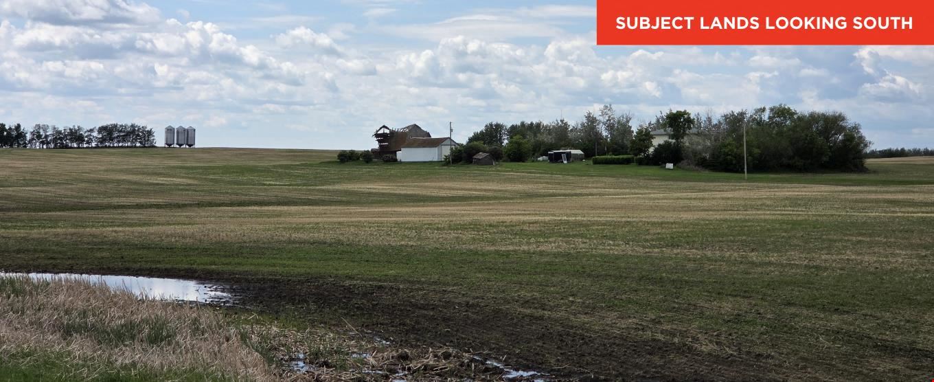 Potential Light Industrial