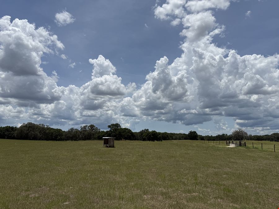 72± Acre Marion County Ranchette