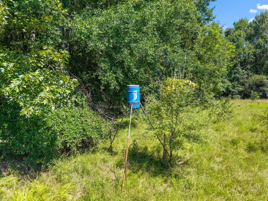 1726 GA Hwy 147