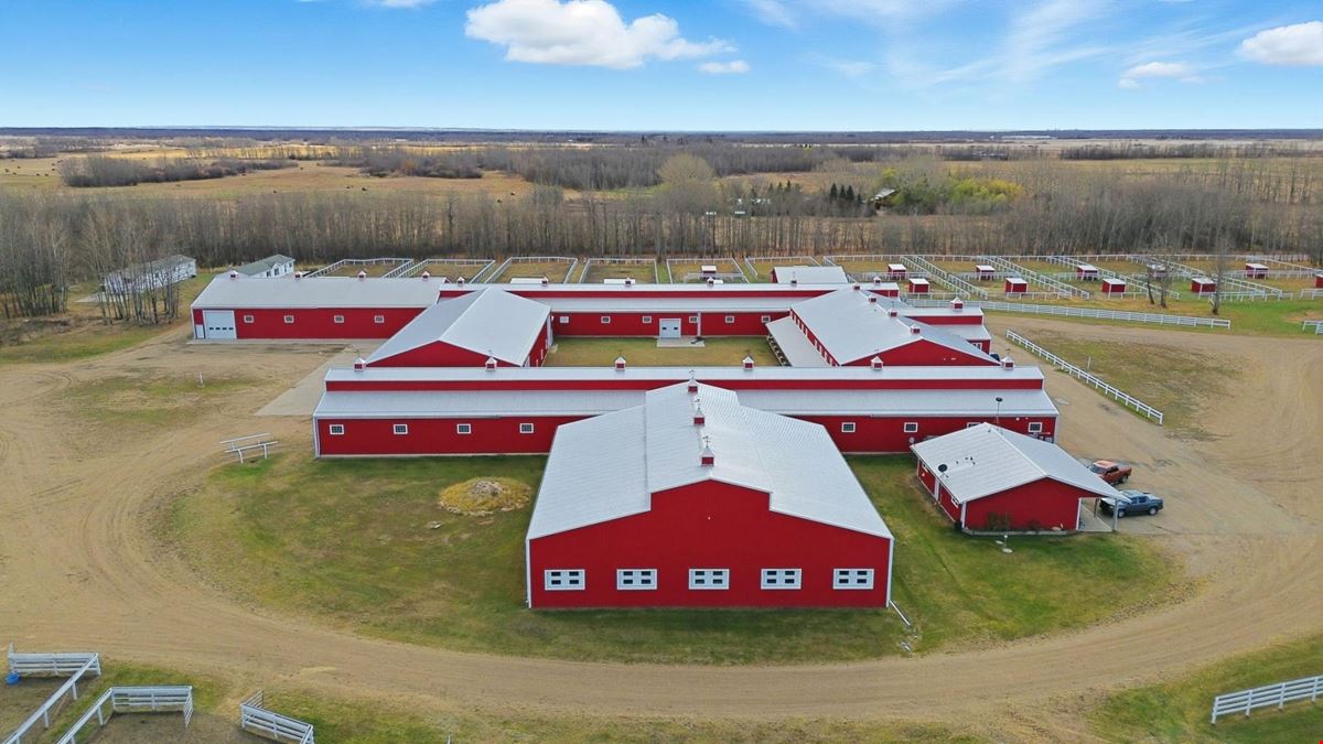 World-Class Equestrian in Central Alberta (Canada)