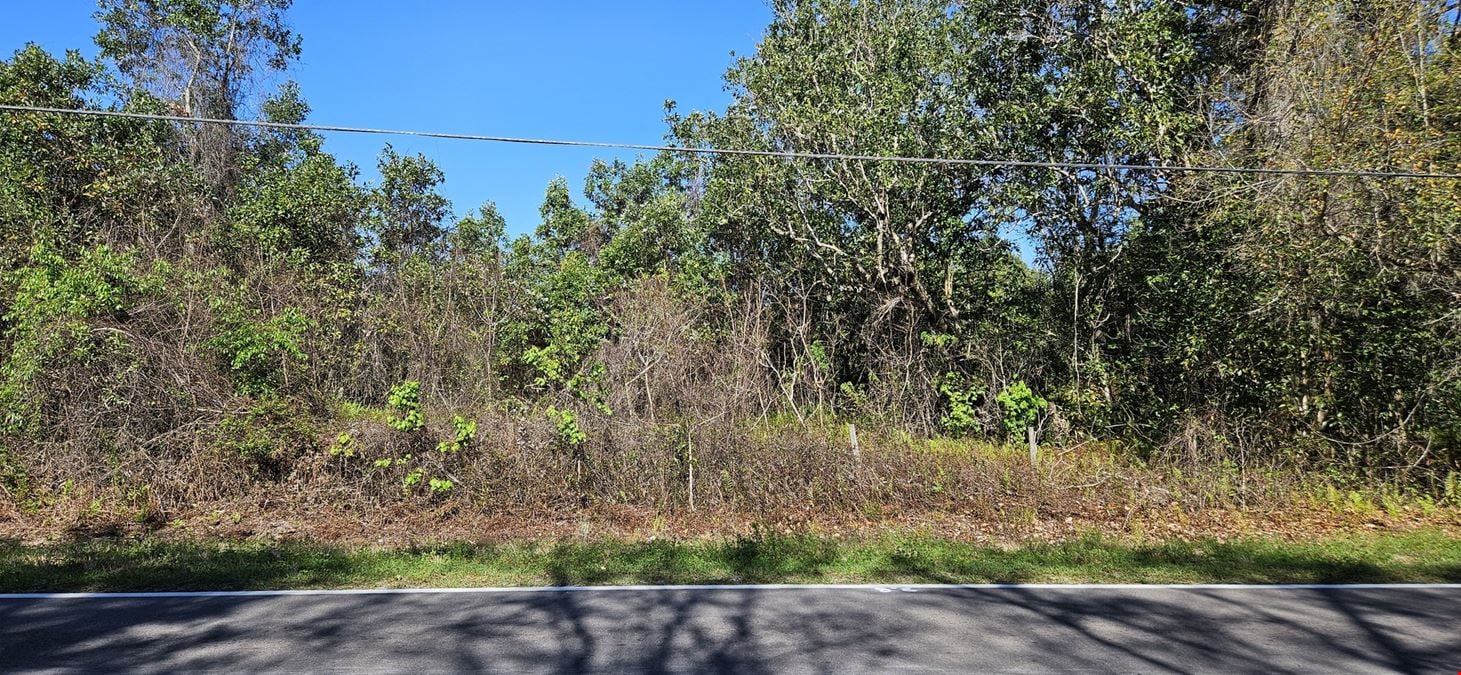 47± Scenic Wooded Acres with Trails, Wildlife, and Lake Access