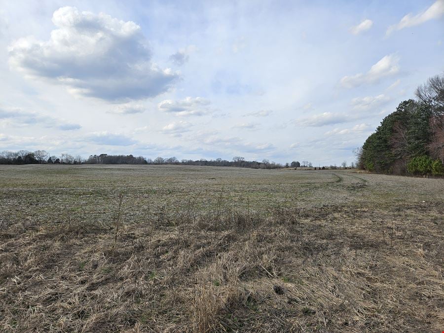 41 Acres For Sale 0 Wall Triana Hwy