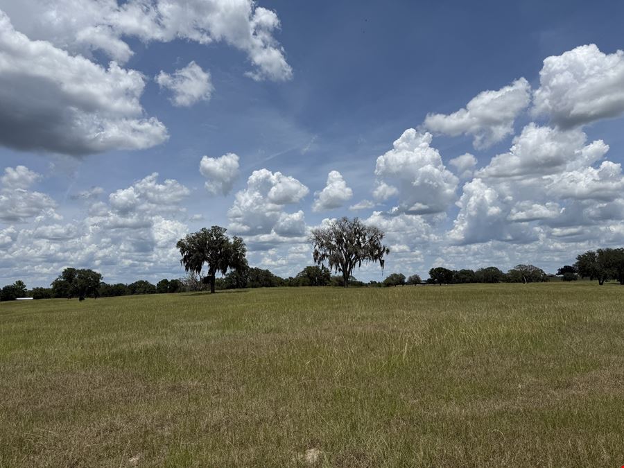 72± Acre Marion County Ranchette